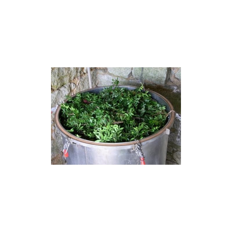 Huile pour les jambes 100ml genévrier/Immortelle/Lentisque Huile pour les jambes 100ml genévrier/Immortelle/Lentisque