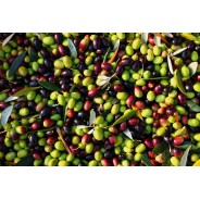 CASTILLE 100% OLIVE