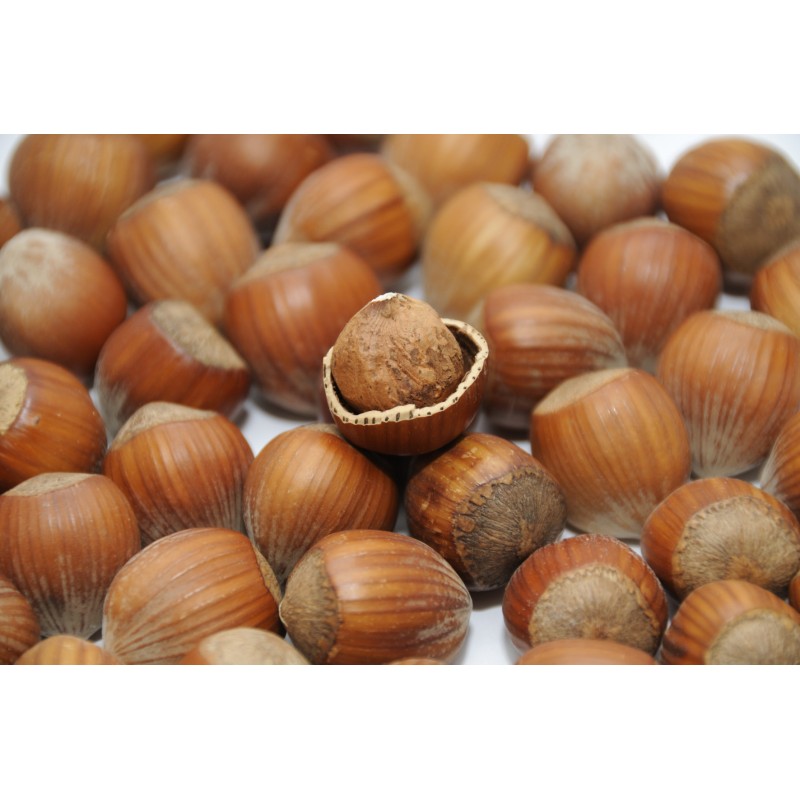 Savon SURGRAS Genévrier Nain 100g