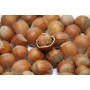 Savon SURGRAS Genévrier Nain 100g