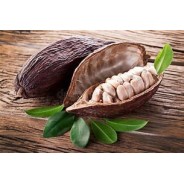 Baume Cacao 50g