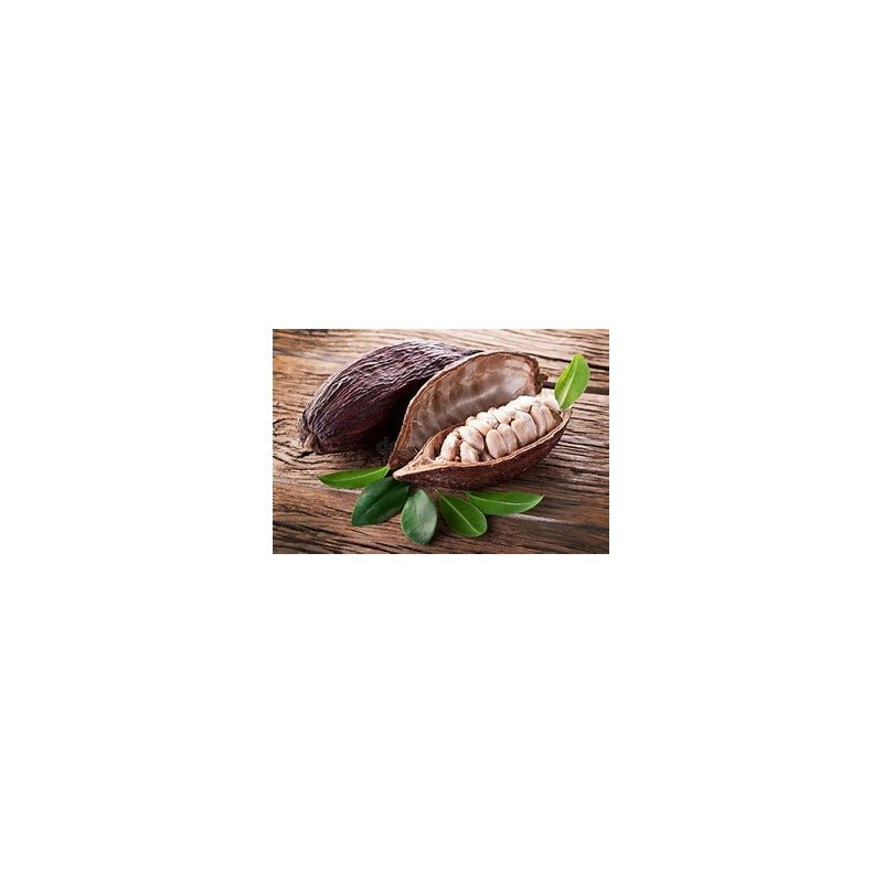 Baume Cacao 50g