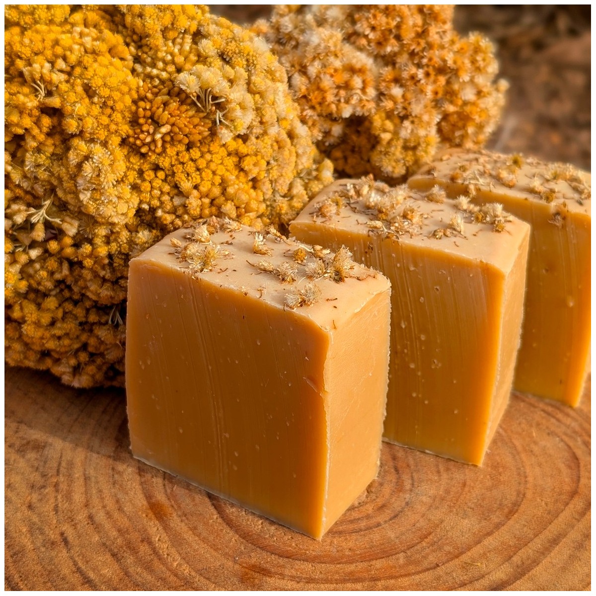 Savon Saponifie Immortelle Corse - Les Simples et Divines