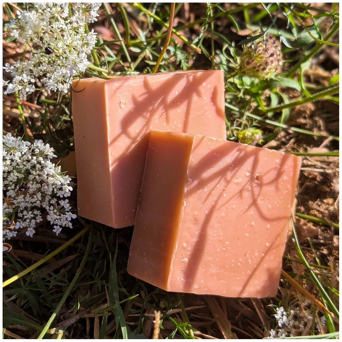 Savon SURGRAS Carotte 100g