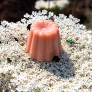 Savon Carotte Surgras 100g - Les Simples et Divines