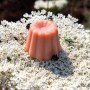 Savon Carotte Surgras 100g - Les Simples et Divines
