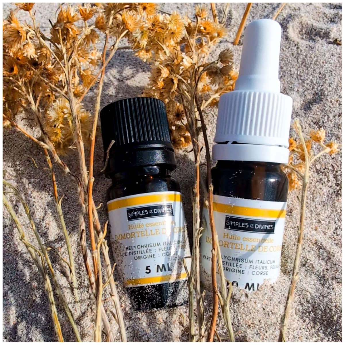 Huile Essentielle Immortelle Corse 10ml - Les Simples et Divines Huile Essentielle Immortelle Corse 10ml - Les Simples et Divines