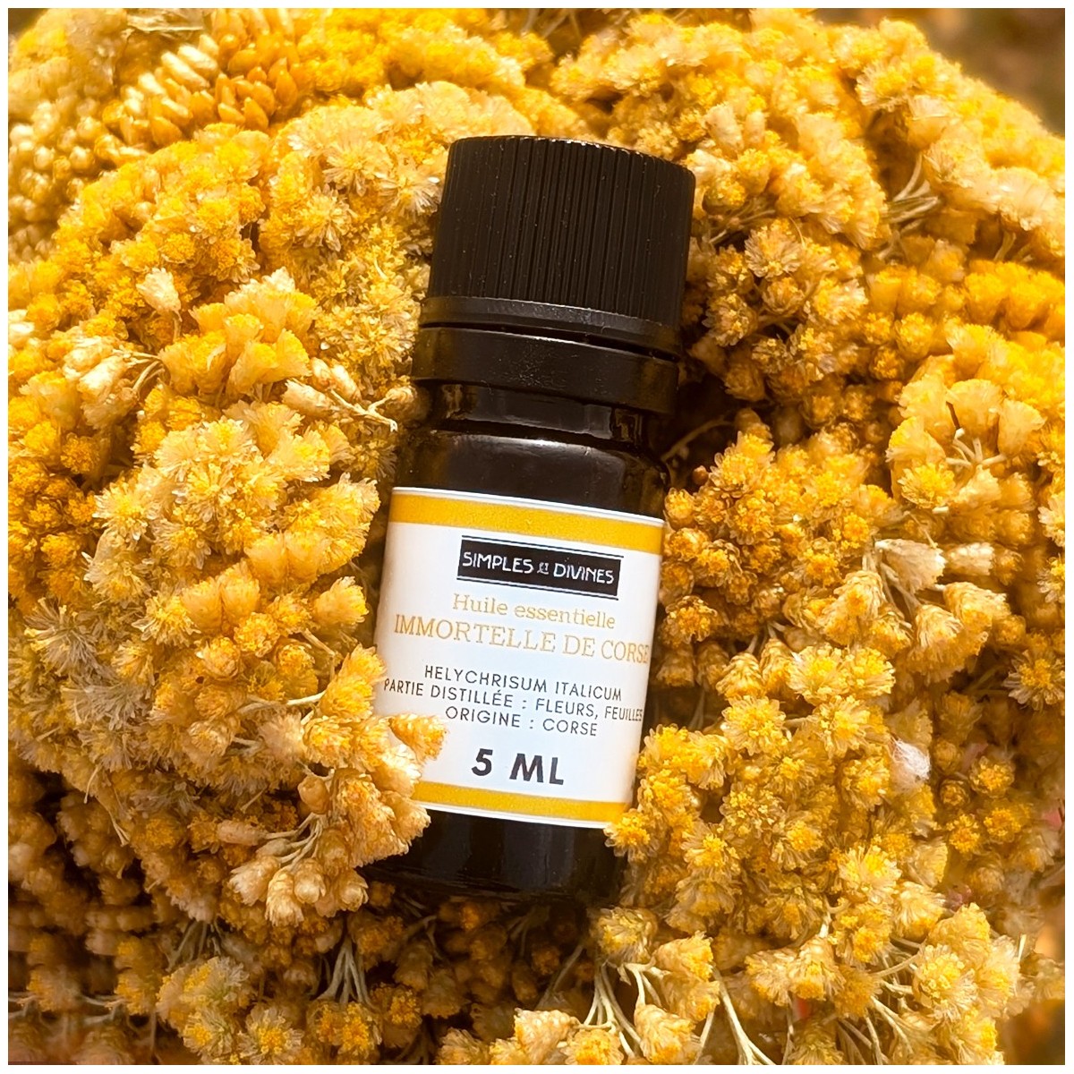 IMMORTELLE de Corse, huile essentielle 5ml