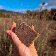 Savon SURGRAS Genévrier Nain 100g