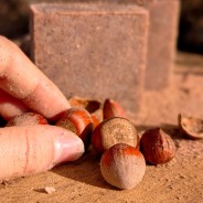 Savon SURGRAS Genévrier Nain 100g