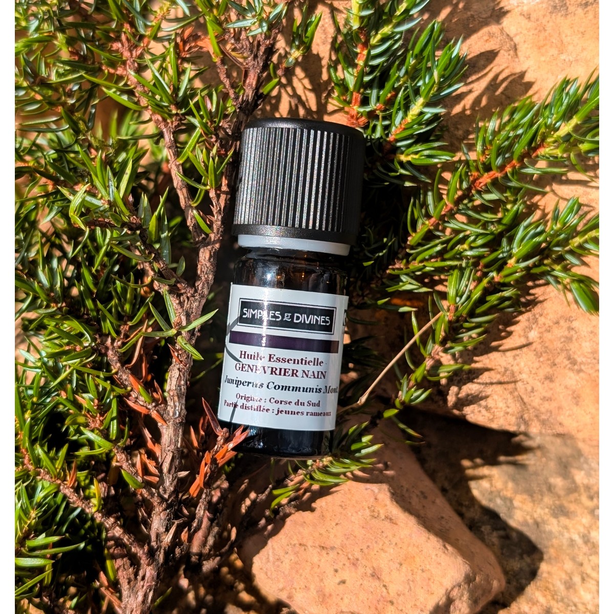 Huile Essentielle de Genevrier Nain - Les Simples et Divines