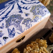 Coffret Bois trio CREME immortelle