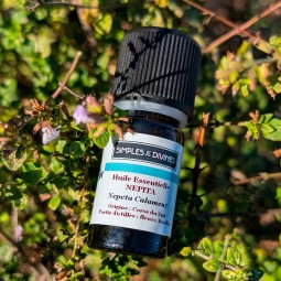 Huile Essentielle NEPETA Calament (Nepita) 5m, biologique, origine Corse