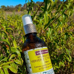 Hydrolat Verveine 100 ml