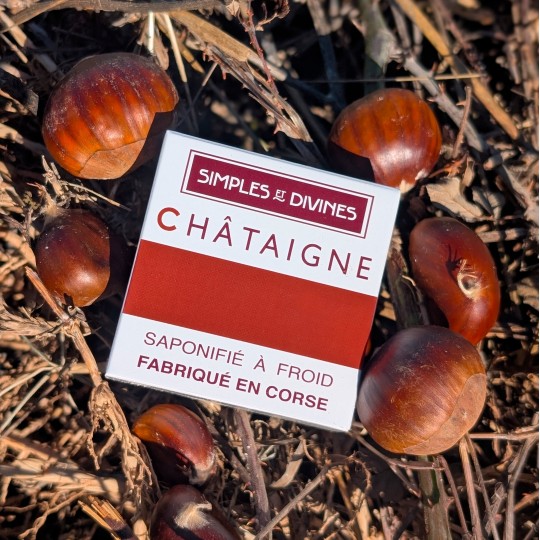 Savon Châtaigne saponifié à froid, surgras, bio