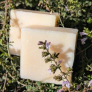 Savon NEPITA surgras, 100g