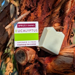 Savon EUCALYPTUS surgras 100g