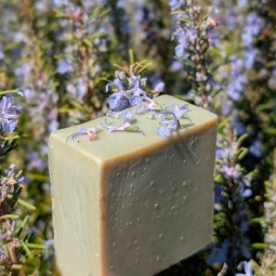 Savon Romarin à Verbénone, bio, Corse