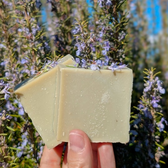 Savon ROMARIN surgras 100g