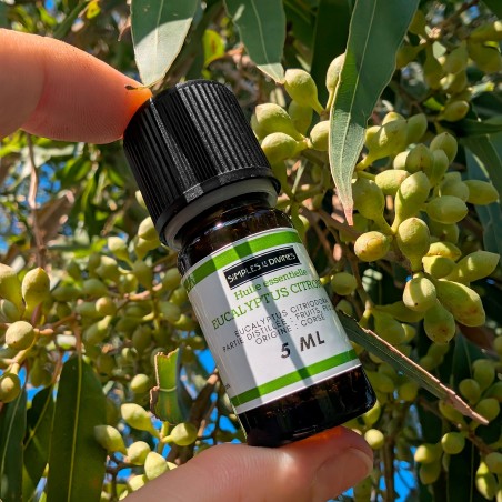 Eucalyptus Citronné, huile essentielle, 5ml