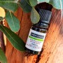 Huile essentielle d’Eucalyptus Globulus, bio, Corse