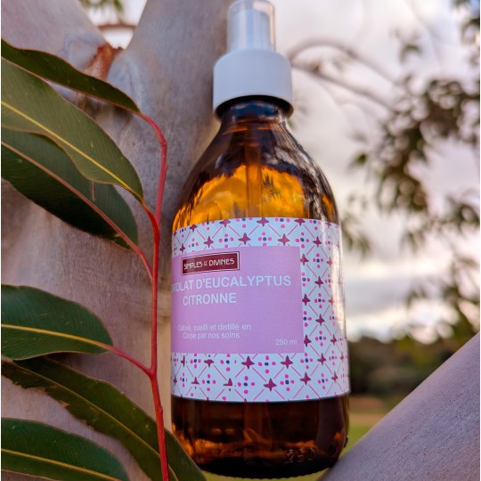 copy of Hydrolat de LAVANDE VRAIE, 250 ml, eau florale