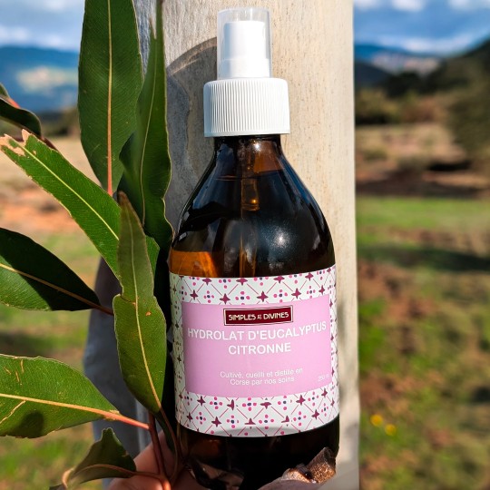 copy of Hydrolat de LAVANDE VRAIE, 250 ml, eau florale