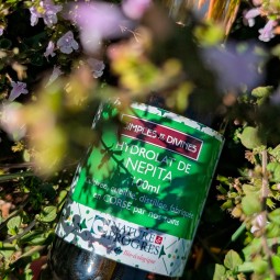 Hydrolat de Népita, 250ml, eau florale