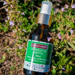 Hydrolat de Népita, Corse, bio