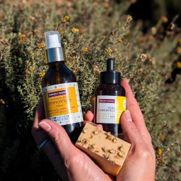 Huile visage Immortelle, 50ml, Corse, Bio