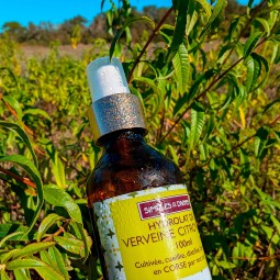 Hydrolat Verveine Citronnée