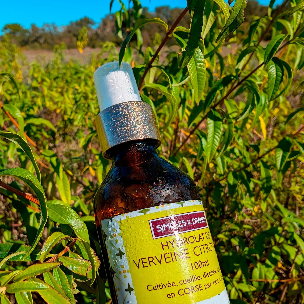 Hydrolat de VERVEINE citronnée, 100ml, eau florale