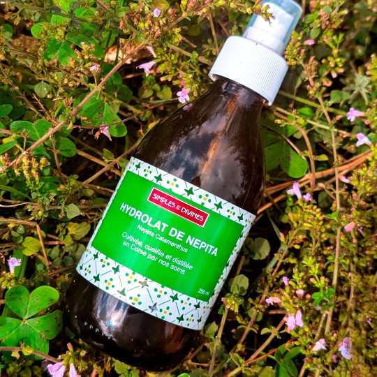 Népita, hydrolat 250ml (nepeta calament)