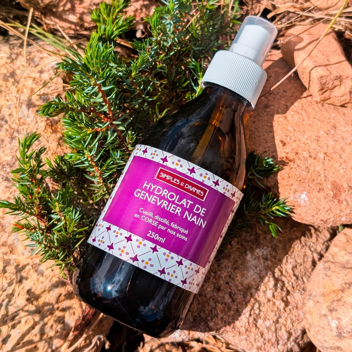 Hydrolat GENEVRIER NAIN 250ml, origine Corse
