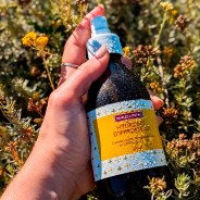 Hydrolat d'Immortelle de Corse 250 ml