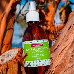 Hydrolat Eucalyptus Globulus