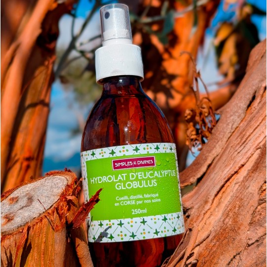 Hydrolat d'Eucalyptus globulus 250ml