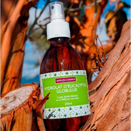 Hydrolat d'Eucalyptus globulus 250ml
