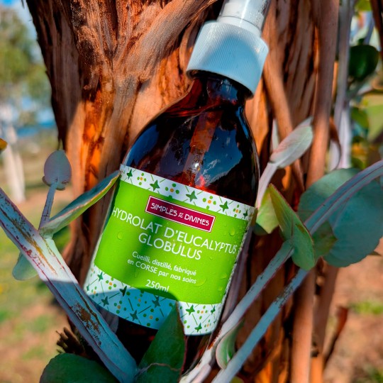 Hydrolat d'Eucalyptus globulus 250ml