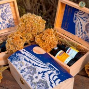 Coffret Bois trio huile immortelle