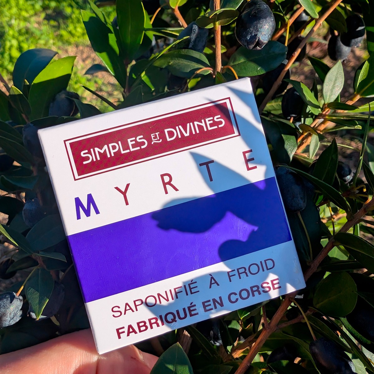 Savon surgras biologique à l'Huile Essentielle de Myrte