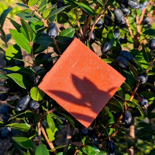 savon myrte revitalisant