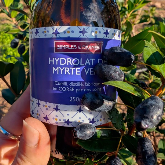 MYRTE vert hydrolat ou Eau Florale, 250ml origine Corse