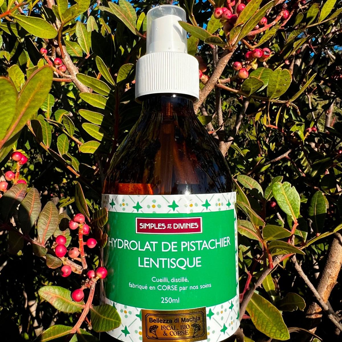 Hydrolat de Pistachier Lentisque 250ml