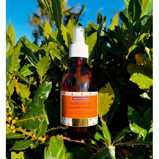 Hydrolat de Laurier Noble