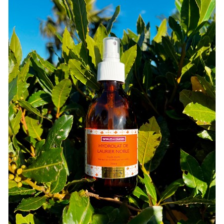 Hydrolat de Laurier Noble
