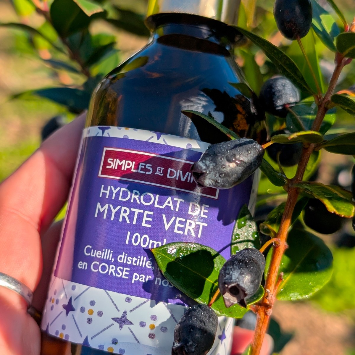 Hydrolat de Myrte Vert