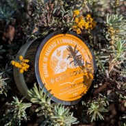 Baume concentré en Immortelle, 15g