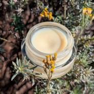 Baume concentré en Immortelle, 15g