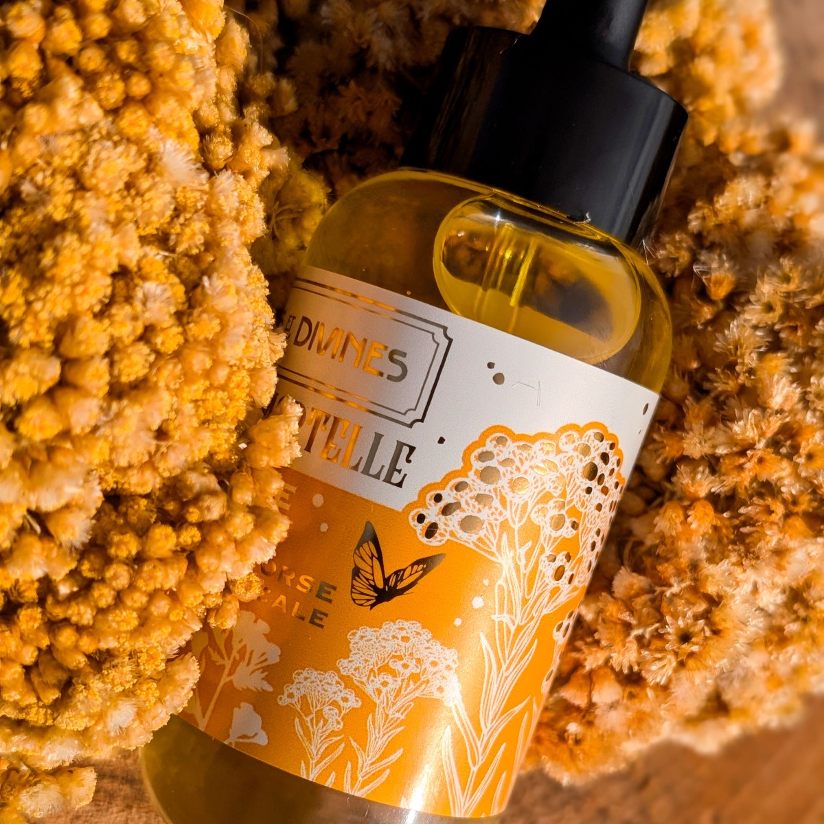 Huile visage Immortelle/Jojoba bio